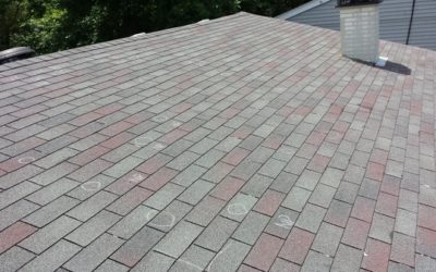 Should I Repair or Replace my Roof?